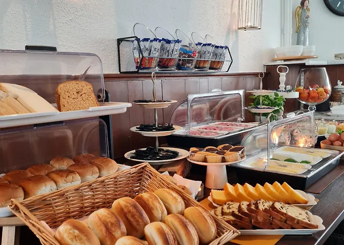 تي فيتا هاس سيفينينغن 3* لاهاي