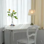 't Witte Huys Scheveningen 3* 헤이그