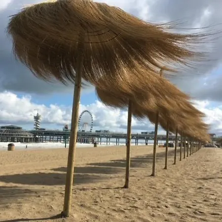 't Witte Huys Scheveningen デン・ハーグ